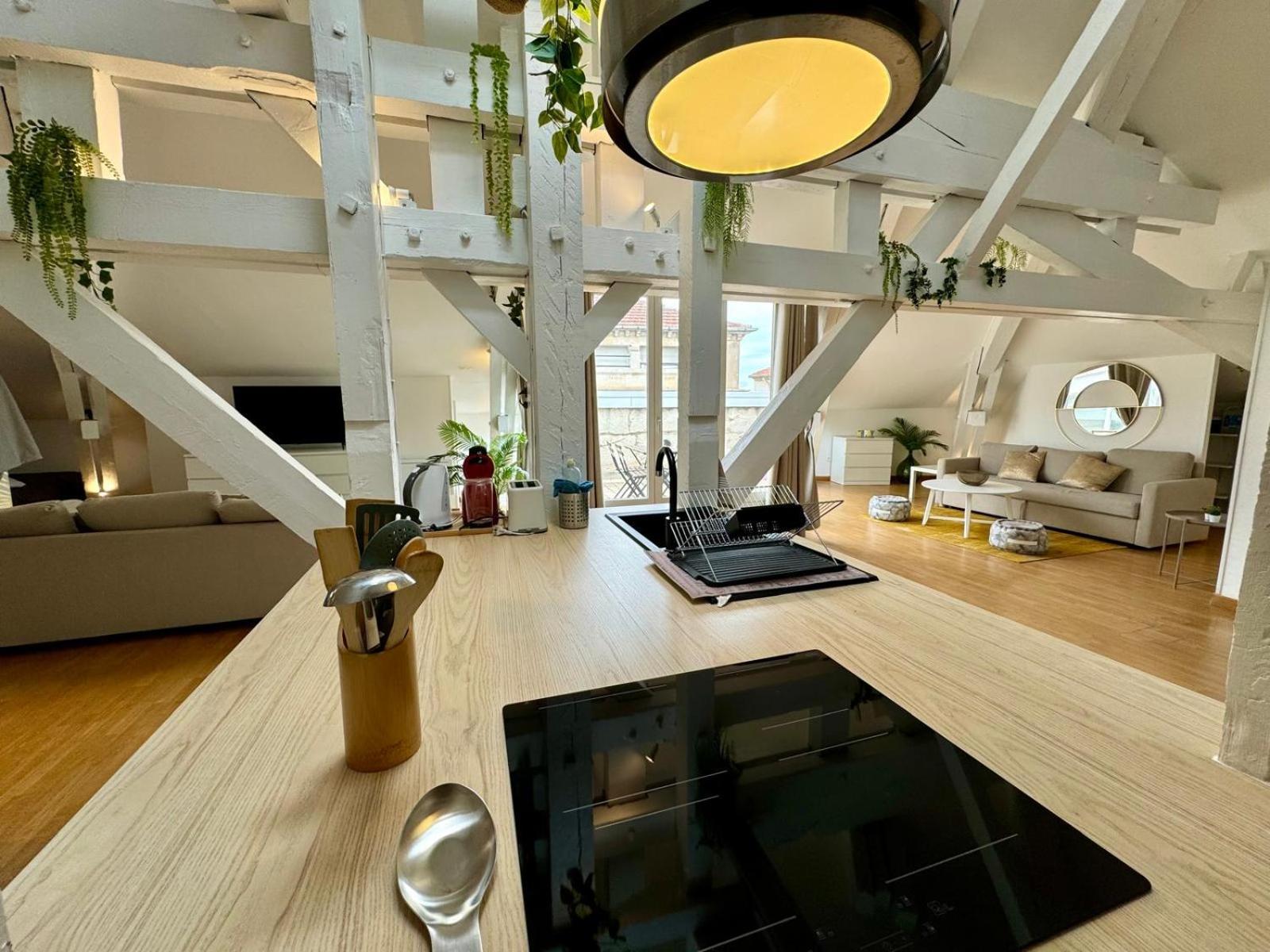 Loft D'exception Coeur De Beziers